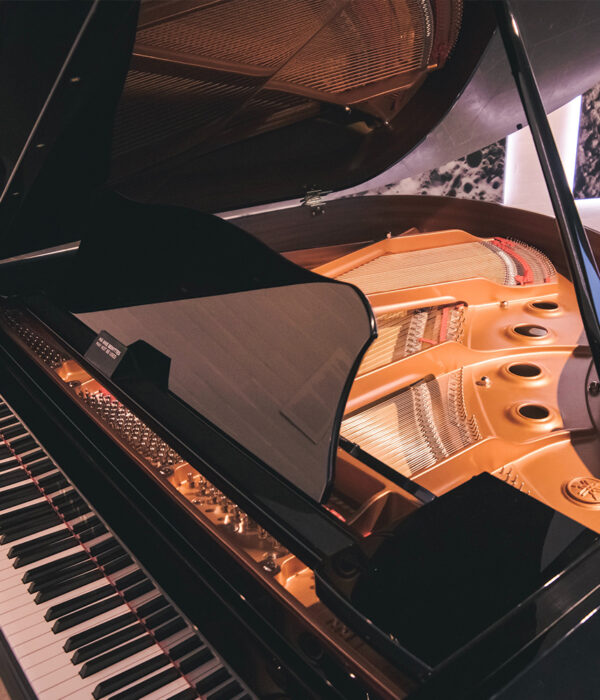 Trasporto Pianoforti_BMG Traslochi